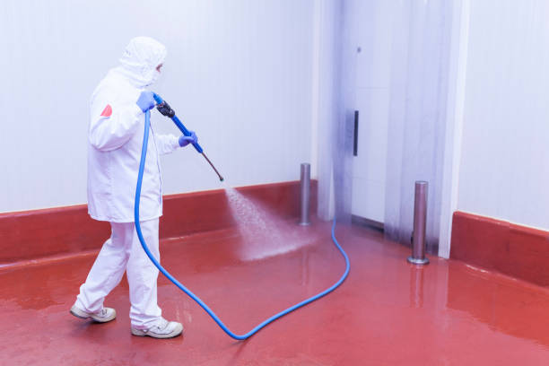 Best Dumpster Area Cleaning  in Dubach, LA