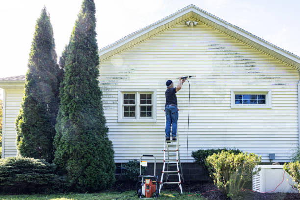 Best Gutter Cleaning  in Dubach, LA